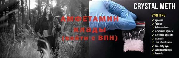 ПСИЛОЦИБИНОВЫЕ ГРИБЫ Верея