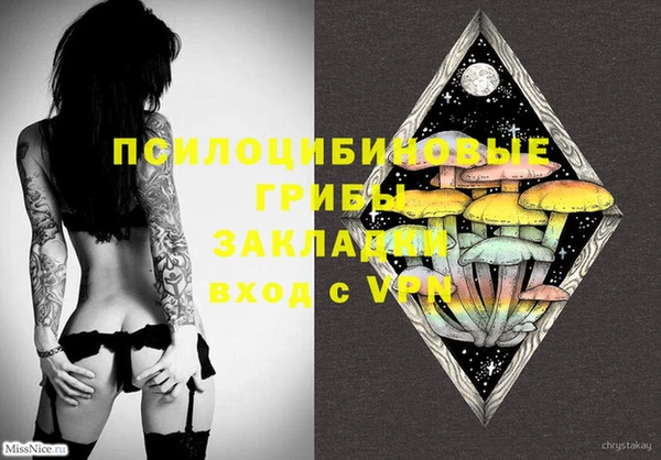 ПСИЛОЦИБИНОВЫЕ ГРИБЫ Верея