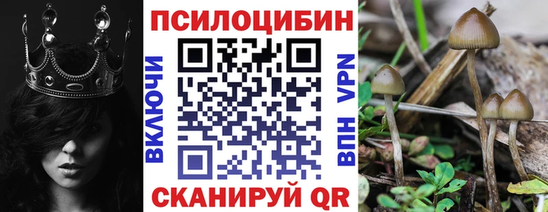 kraken ССЫЛКА  хочу   Нижневартовск  Псилоцибиновые грибы Psilocybe 